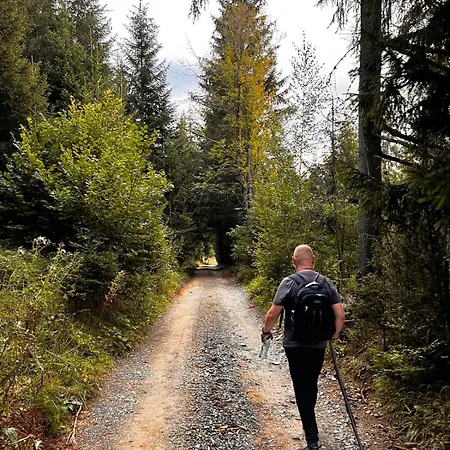 Selena - Golija Pensiune 3*