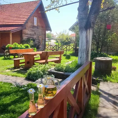 Guest house Selena - Golija 3*