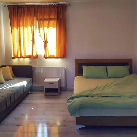 Guest house Selena - Golija Rudno