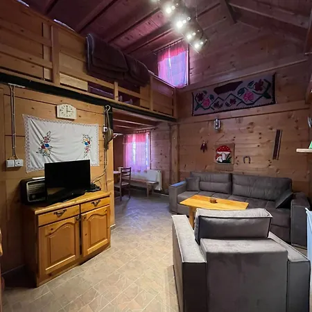 Selena - Golija Pensiune Rudno