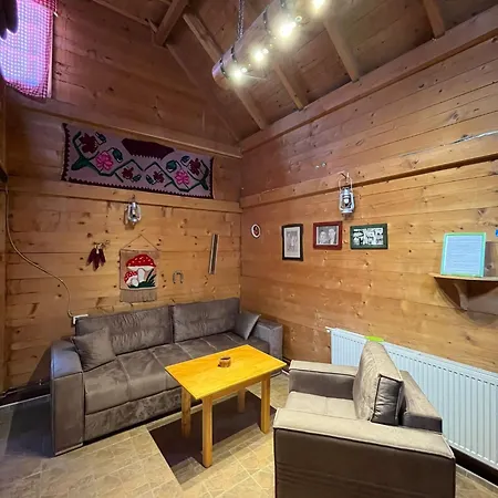 Selena - Golija Guest house Rudno