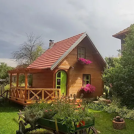 Pensiune Selena - Golija