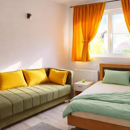 Pensiune Selena - Golija Rudno