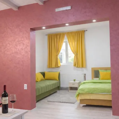 Pensiune Selena - Golija 3*