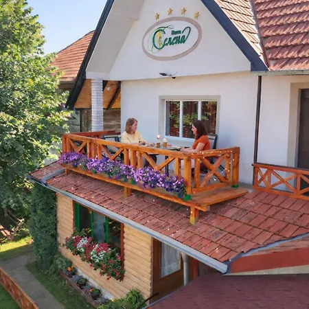 Pensiune Selena - Golija Rudno