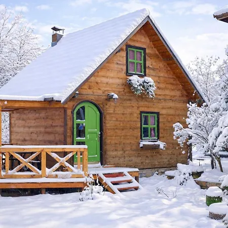 Selena - Golija Rudno