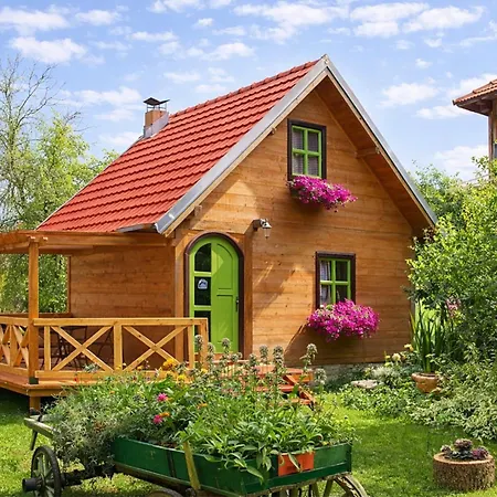 Selena - Golija Pensiune