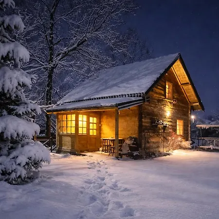 Selena - Golija Pensiune 3*