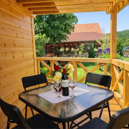 Pensiune Selena - Golija 3*