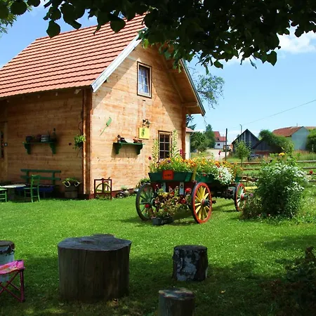 بيت ضيافة Selena - Golija 3*