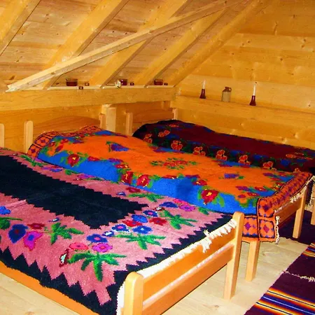 Selena - Golija Pensiune