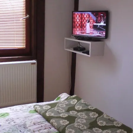 Pensiune Selena - Golija 3*