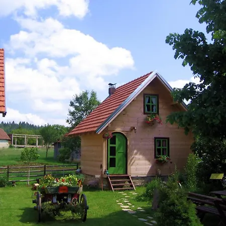Guest house Selena - Golija 3*
