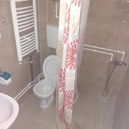 Selena - Golija Rudno