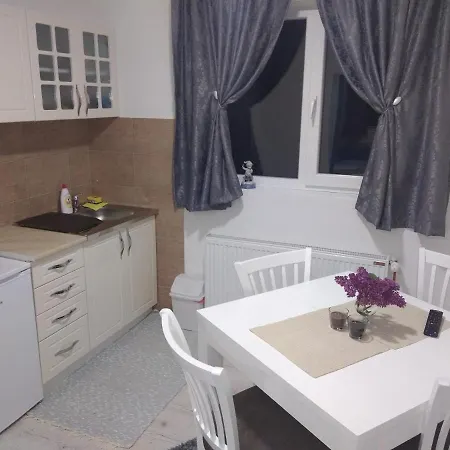 Selena - Golija Guest house